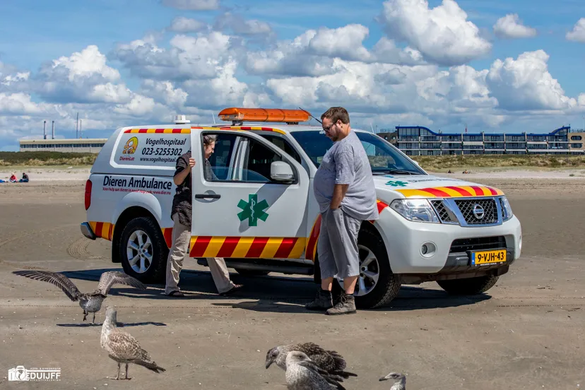 vogelhospitaal auto 1