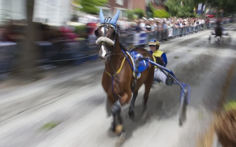 wim meijer fotografie img 0073 hoofdbanner 915x518