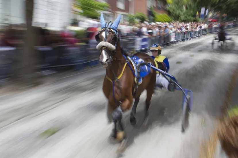 wim meijer fotografie img 0073 hoofdbanner