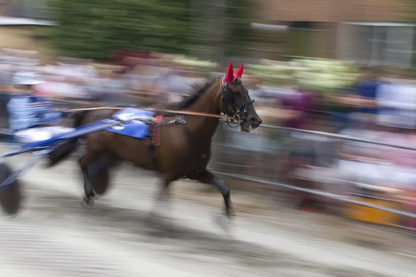 wim meijer fotografie img 0075 banner