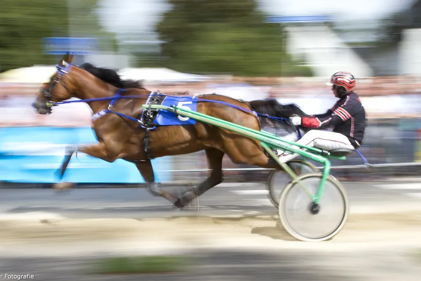 wim meijer fotografie img 1173