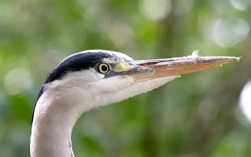 wim meijer fotografie img 3907 915x518 1