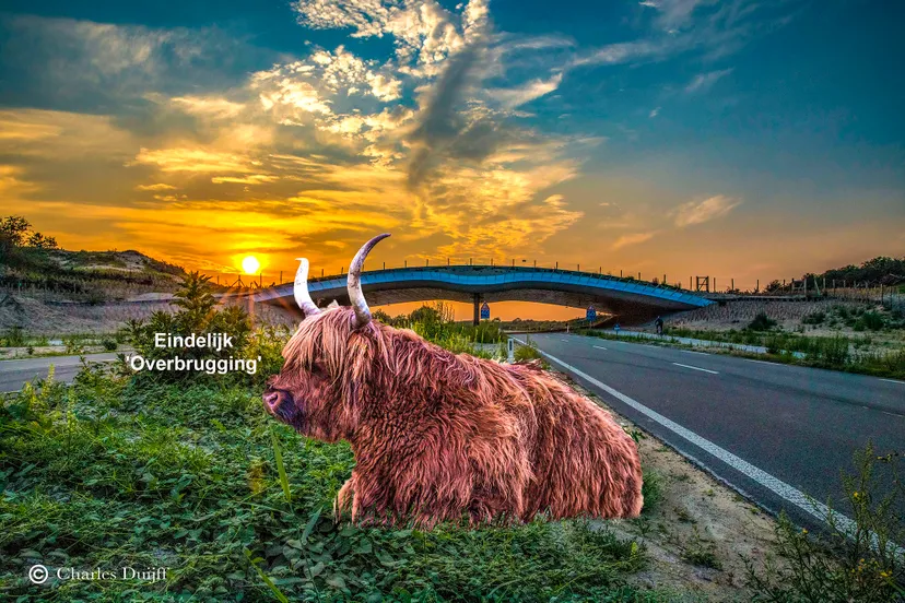 zeeweg natuurbrug sunset