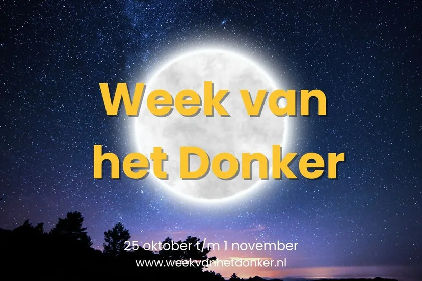 464125510 1025376856054729 1812754801308726680 n