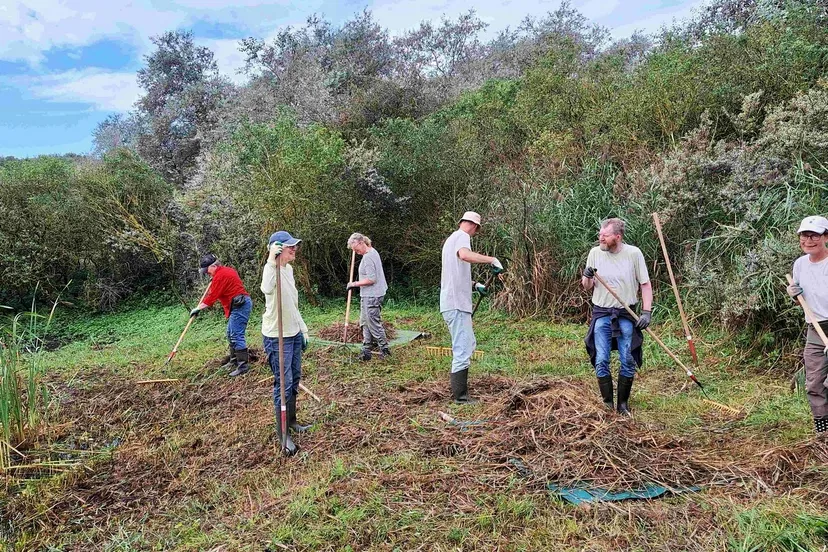 dauwbraampad1 scaled