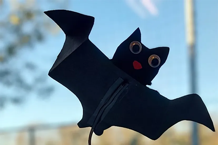 foto vleermuis liggend kopieren