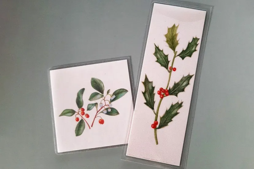 botanische kersttekening kabds