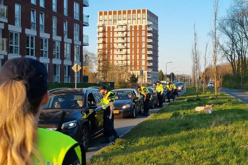 489303961 955689693441798 6932904856640949823 n 1