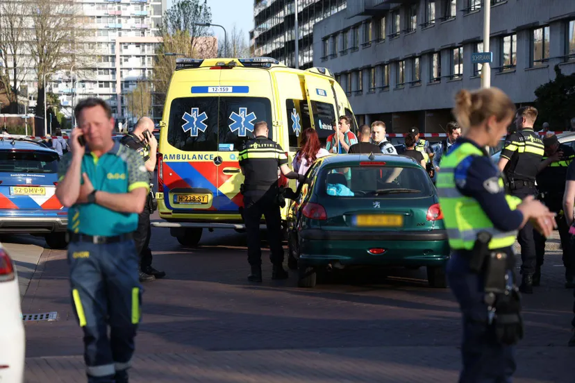 whatsapp image 2025 04 12 at 185816