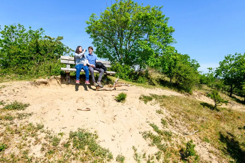 Natuurmonumenten-Martin van Lokven-1920-NAMO114096 (1)