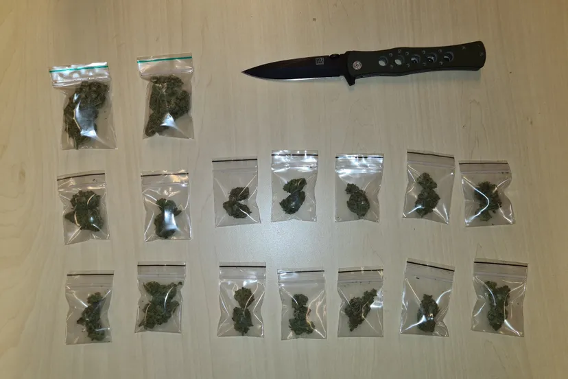 261673153 273295784839817 3380923423214163893 n