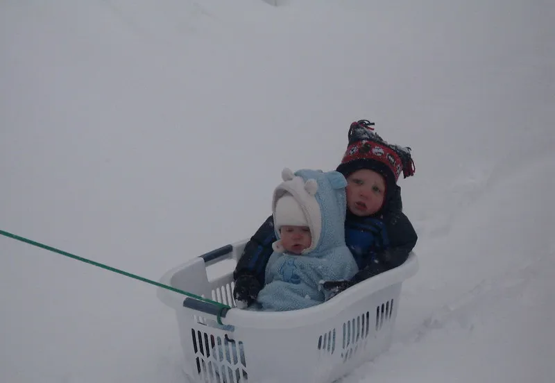 4335177797 d72e88026c c