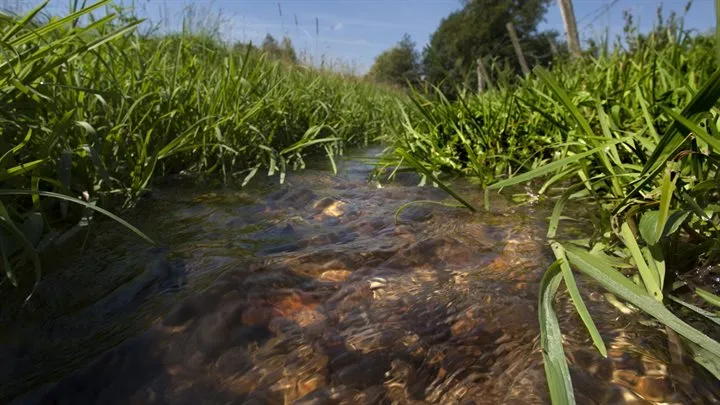 beekje bij epen 2 breedbeeld waterschap