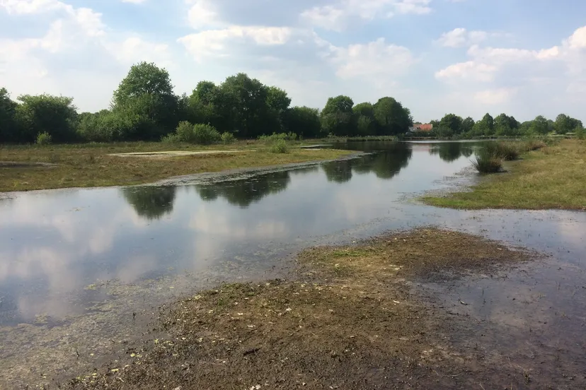boshuizerbergen maasmeander j leunissen