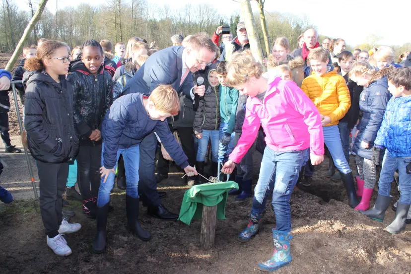 cdk groningen plant boomimg 1659