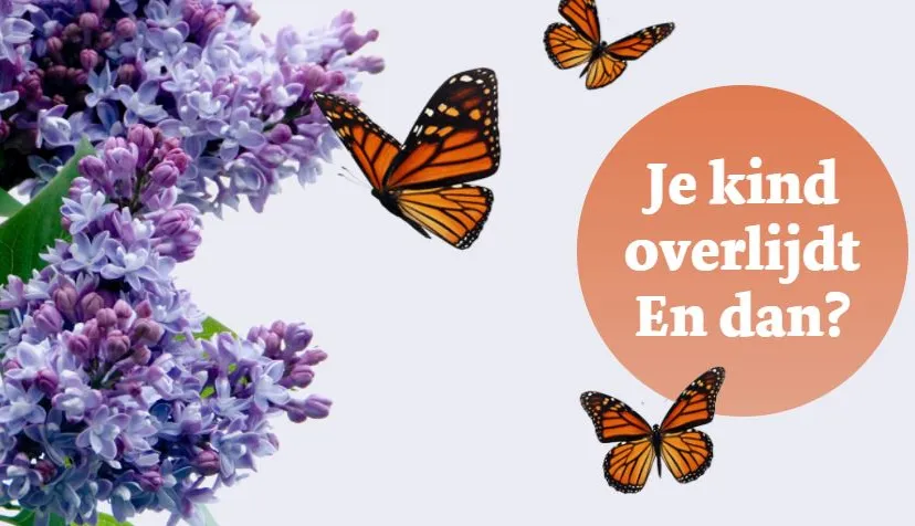 dagvlinder screenshot