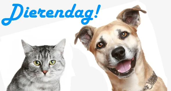 dierendag 047