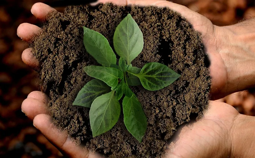 duurzaam groen milieu