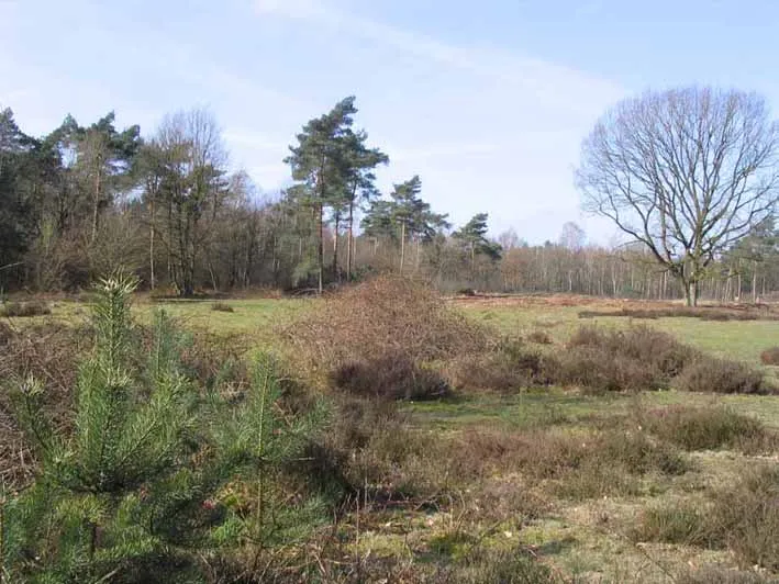 ivn geisteren venray wandeling swolgen