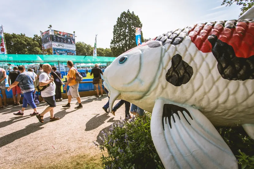 kasteeltuinenarcen hollandkoishow pamvandenbroek 025