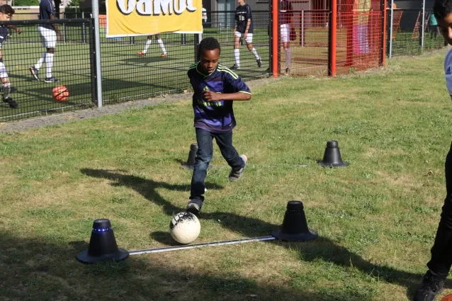 peel en maas henk lammen