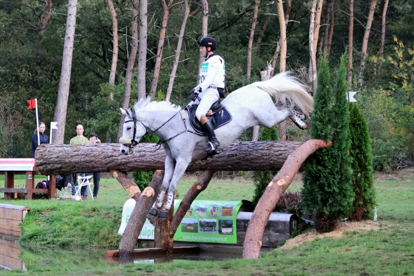 processed 5371d528 8c9c 4eed 85eb 6e7c7727fbc2 4hrrlc6m scaled