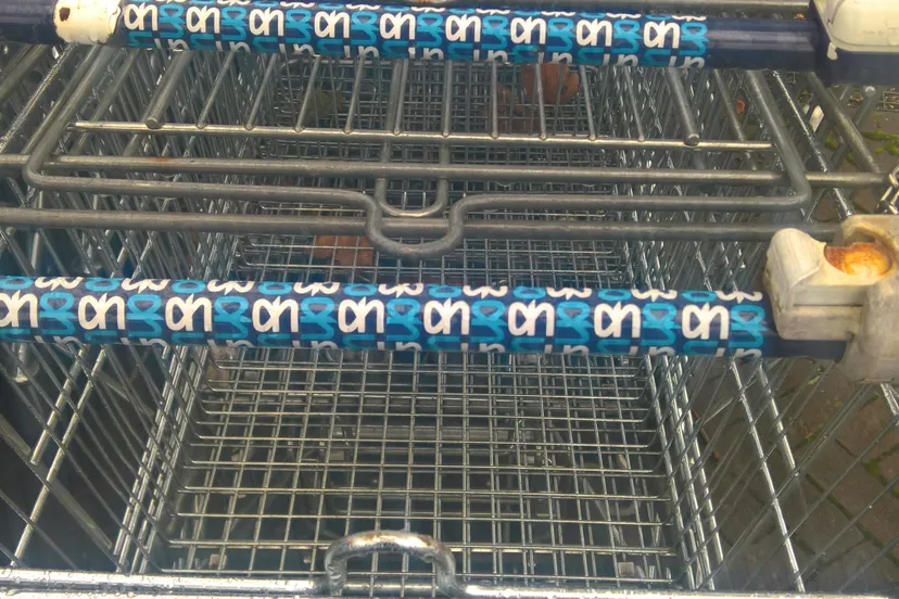 two different kinds of albert heijn shopping carts 2017