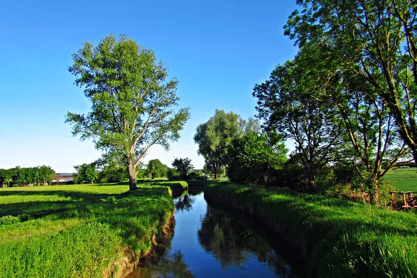 water in een beek stockfoto