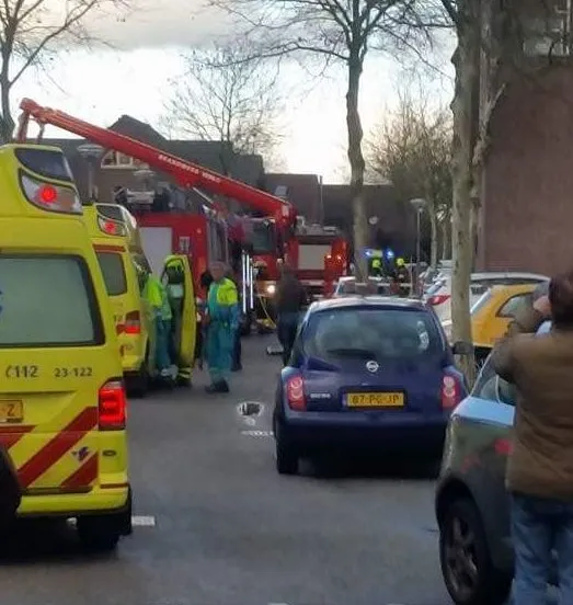 whatsapp image 2018 02 11 at 164442 e1518370853614