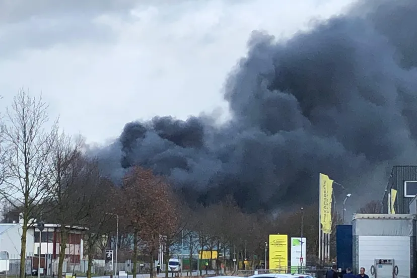 whatsapp image 2020 01 28 at 142315