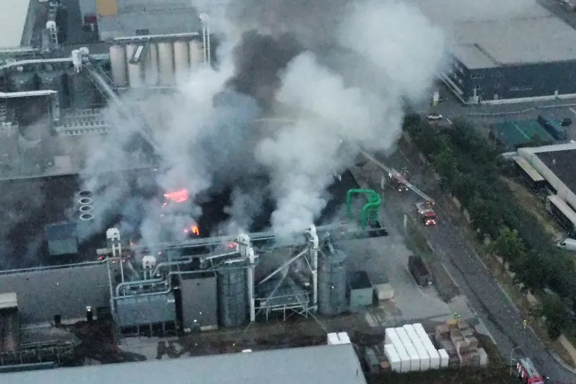 whatsapp image 2022 08 17 at 93337 pm