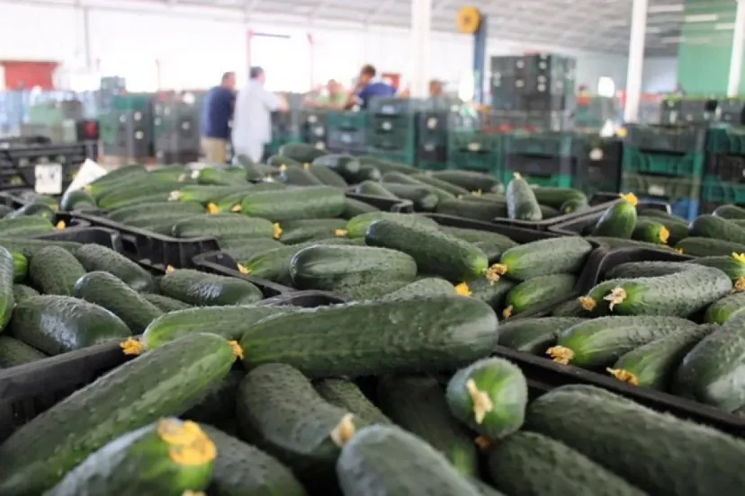 internationale20werknemersjpg