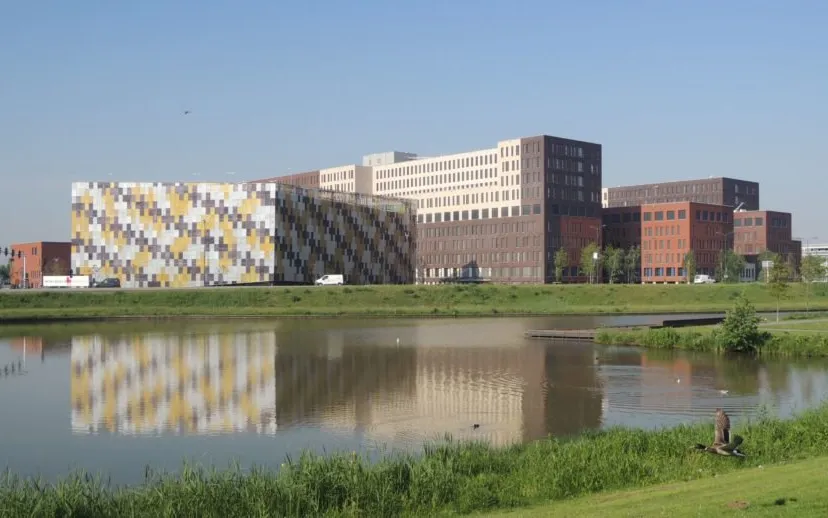 00 jbz divers 2 915x518