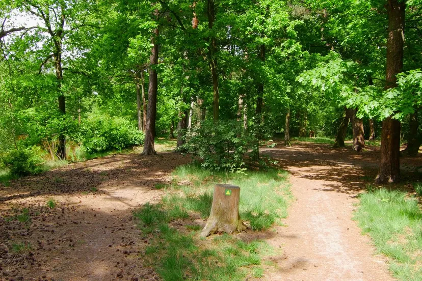 104922953 3384836171569199 5789185955983288527 o