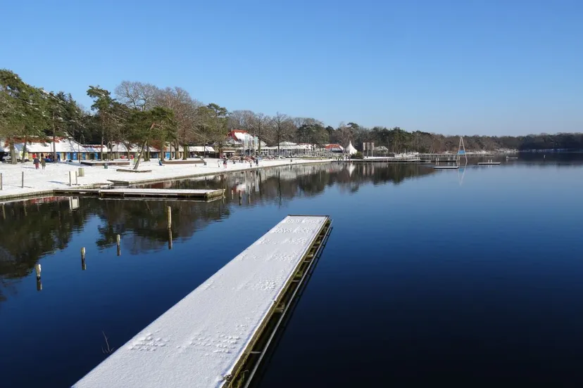 105542413 3392627994123350 2697208776679761301 o