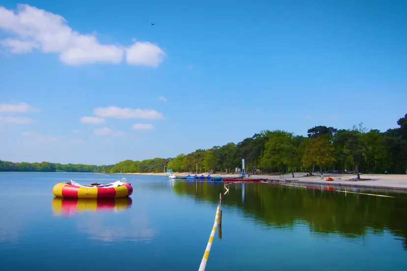 116884287 3511961675523314 337982274746900538 o