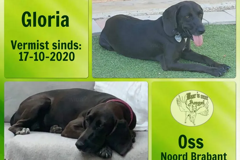 121977040 3663802426988487 8978363763143925587 o