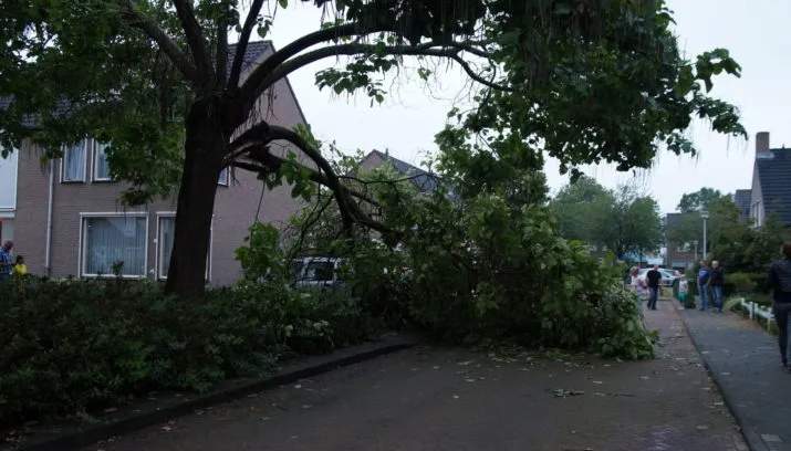 1504117392 picsay 715x408