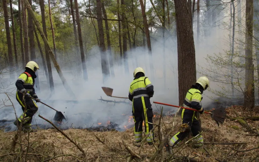 1555075429 picsay 915x518