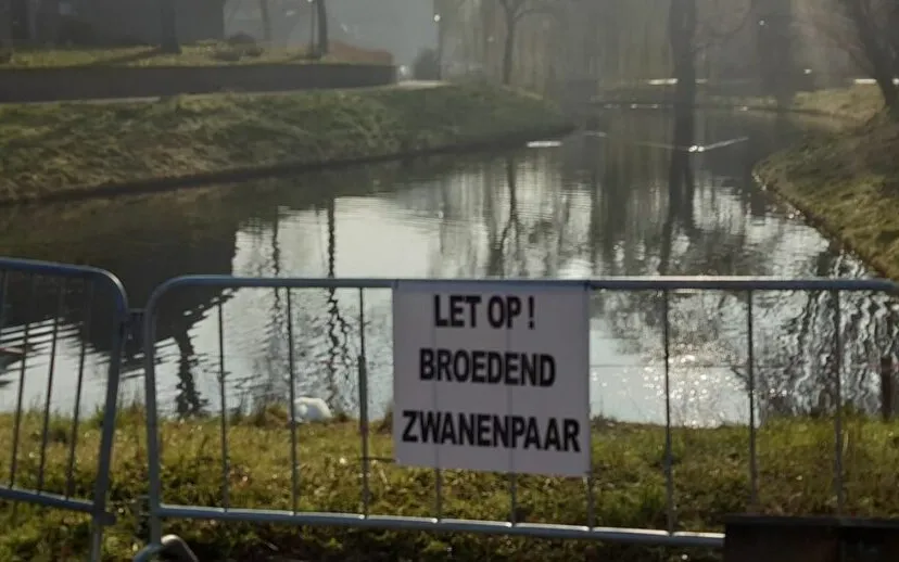 164472037 4187421841310624 1546969359339515705 o 915x518 1