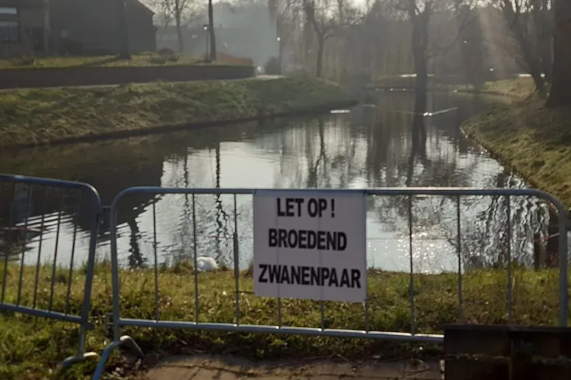 164472037 4187421841310624 1546969359339515705 o