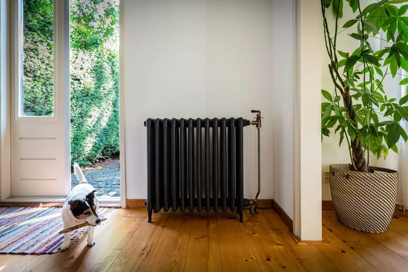 166760716 4213898708662937 6995745416925519155 n