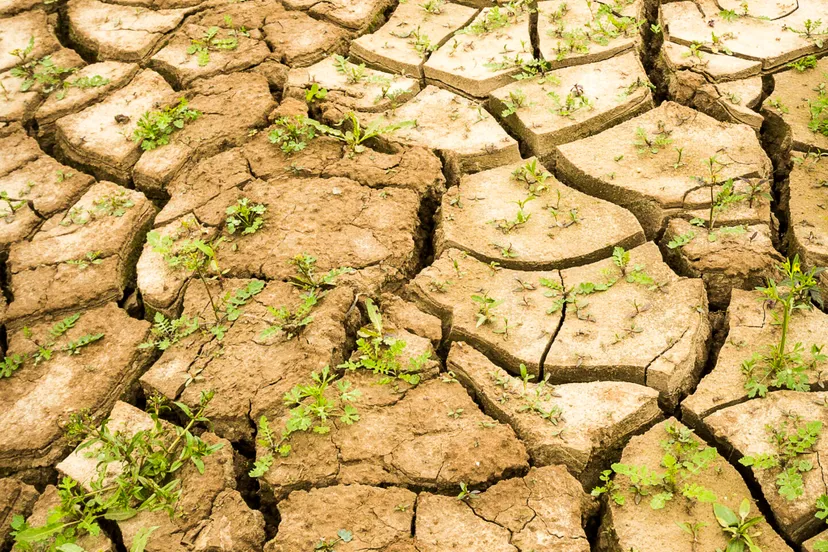 1775 74ef660e2832e9faad21087ea0e2d042 scaled