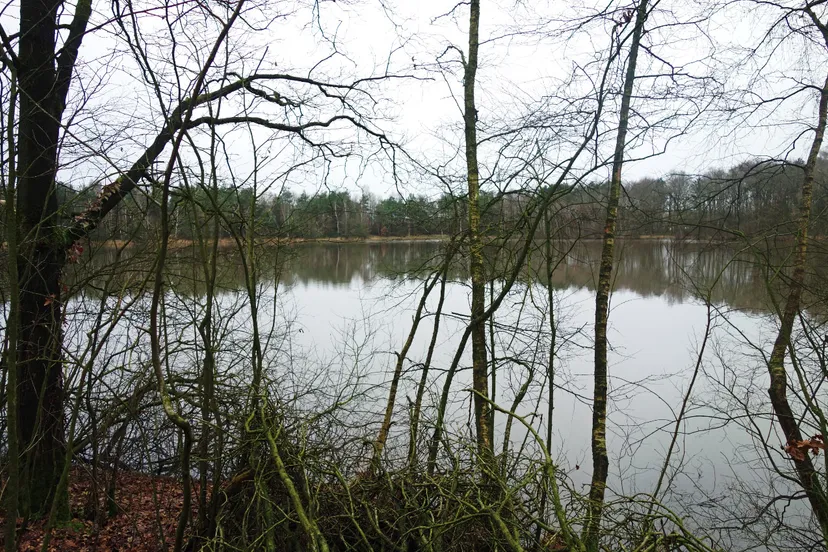 180104 wandelen donderdag 6893