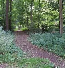 20190711 162437 e1565963979539 225x300