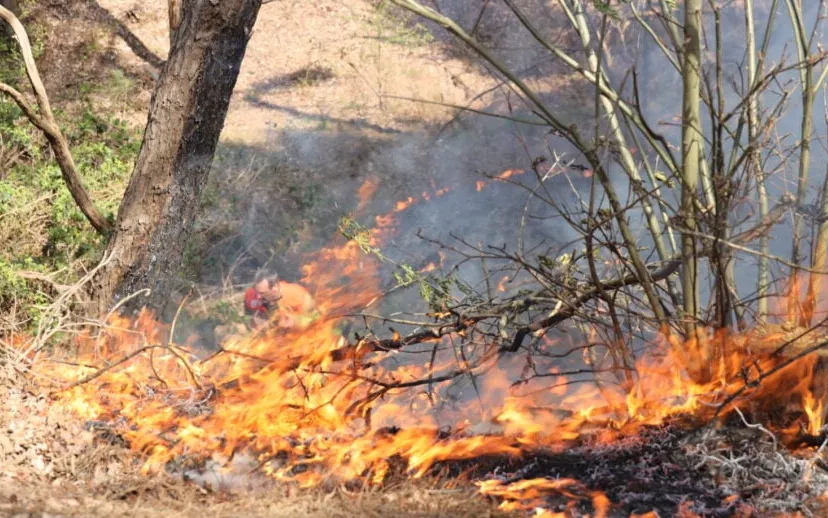 20210425132114 fpmb1107 915x518 1