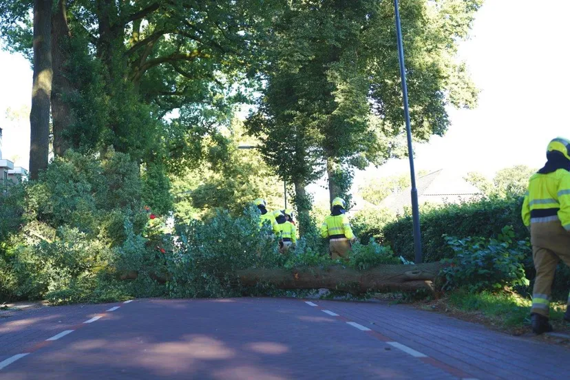 2024 07 06 meesters multi media fotos boom over de weg sint lambertusssraat cromvoirt2