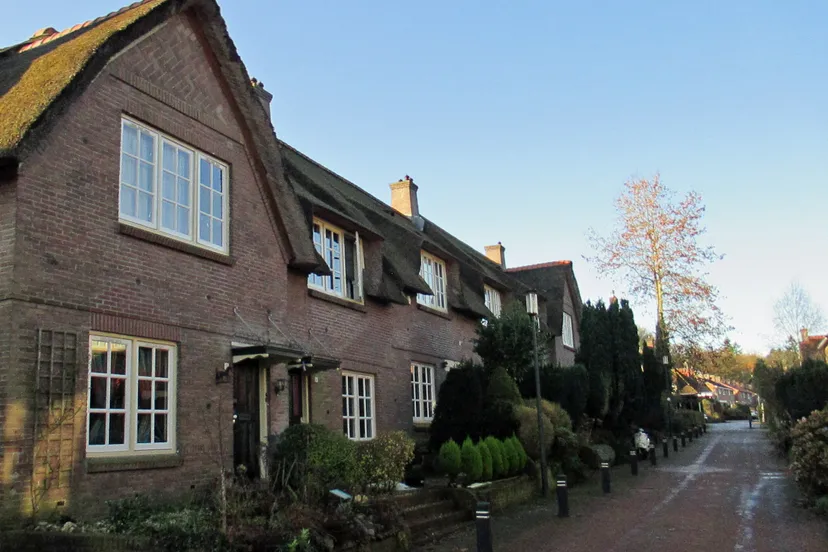 211208 jef heveadorp 08