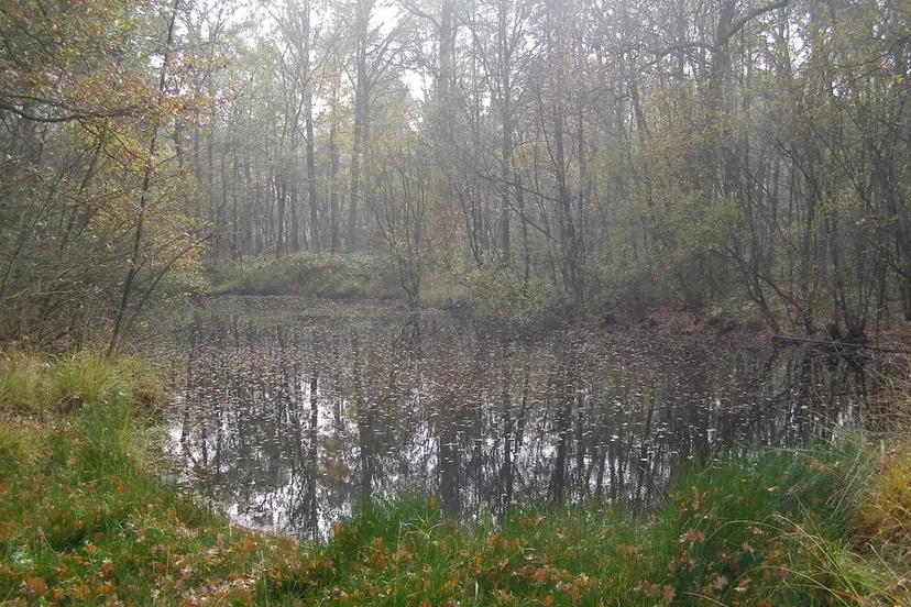 222083293 187681996731159 1681198807310459086 n