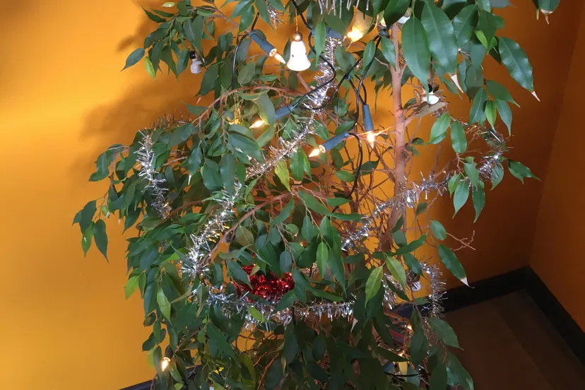 2222222222222222222222